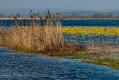 024_Biebrza - kwiecien 2010